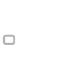 DS